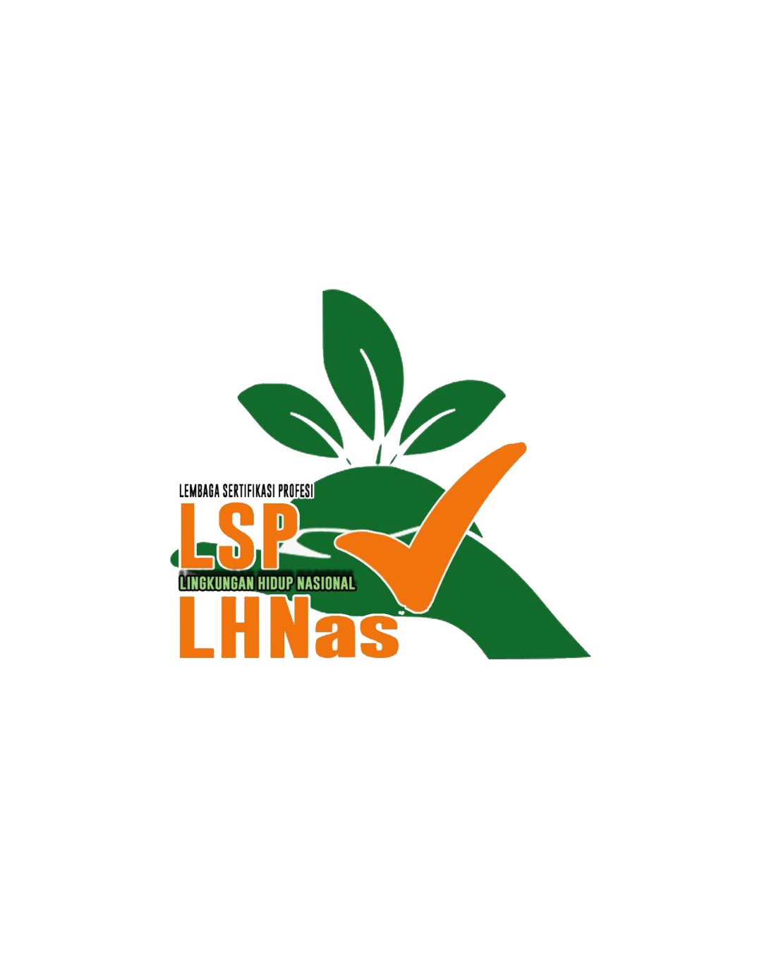 Logo LSLHN